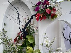 -上海鲜花港