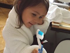 -新加坡丽思卡尔顿美年酒店