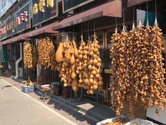 -中环花鸟鱼虫市场