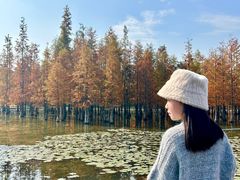 -白鹭湾湿地公园