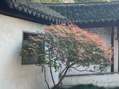 -秋霞圃