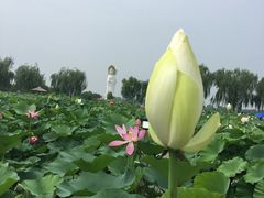 -十三陵山水雅园农家院