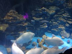 -多彩贵州城极地海洋世界