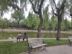 -团结湖公园