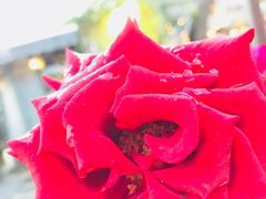 -有才叔的小馆(招商依云曲江店)