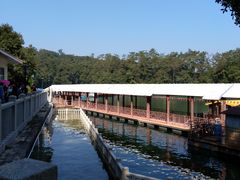 -广州市流溪河国家森林公园
