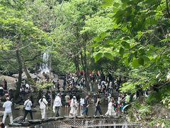 -石台牯牛降景区