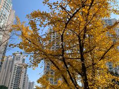 -苏州河梦清园环保主题公园