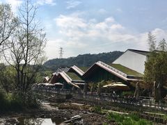 -西湖风景区-江洋畈生态公园