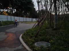 -夏河溪乡野公园