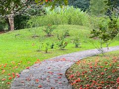 -中国科学院西双版纳热带植物园