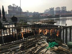 -君豪蟹都·湖景·农家乐(蟹舫苑店)