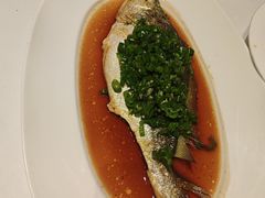 -许家菜.艺创菜(仁和新城店)