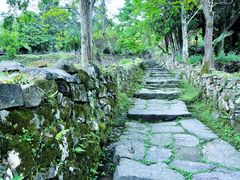 -唐崖土司城遗址