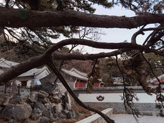 -阳台山自然风景区