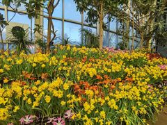 -石家庄市植物园