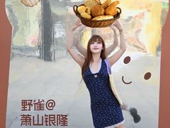 -汇德隆银隆