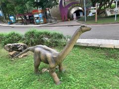 -自贡恐龙博物馆