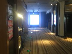 -博纳国际影城IMAX(中央大道店)