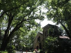 -之江大学-旧址