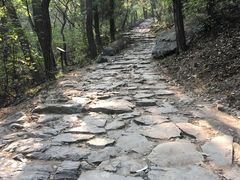 -阳台山自然风景区