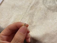-洞庭家宴·头牌甲鱼(广渠门店)