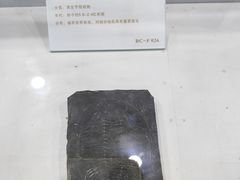 -中国第四纪冰川遗迹陈列馆