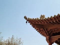 -敦煌莫高窟
