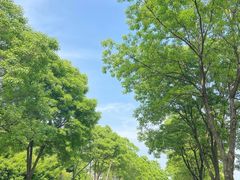 -尚贤河湿地