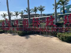 -亚龙湾国际玫瑰谷