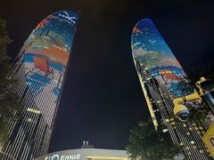 -演武大桥观景平台