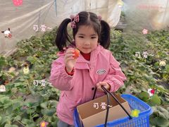 -小鱼草莓采摘园农家乐·小鱼餐厅