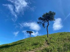 -萍乡武功山风景名胜区