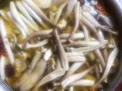 -菌极鲜野生菌火锅店(阳明祠店)