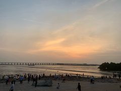 -宝安西湾红树林湿地公园