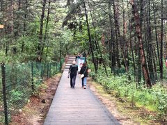 -帽儿山国家森林公园