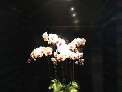 -上海锦江汤臣洲际大酒店柒酒廊