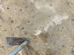 -坝光海滩