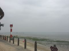 -北海金海湾红树林生态旅游区