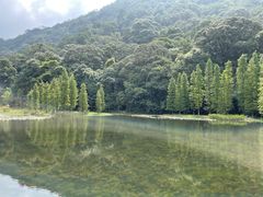 -广州市石门国家森林公园
