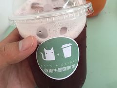 -有猫主题·治愈系猫咖(曾厝垵店)