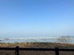 -枸杞岛