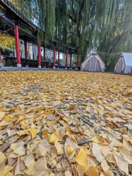 -宝馨月月子中心(友谊医院店)