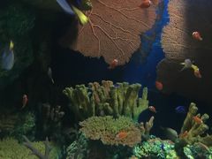 -上海海洋水族馆