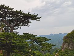 -圣莲山风景区