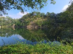 -王借岗森林公园
