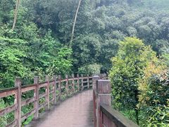 -凤栖山