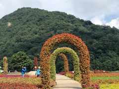 -广州市石门国家森林公园