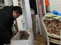 -骆驼日式搬家收纳整理