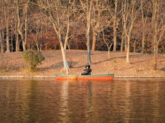 -上海共青森林公园
